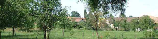 Koetzingue, vue du Tieffend